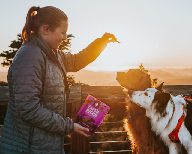 Person holds bag of treats as two dogs stare at treat in hand