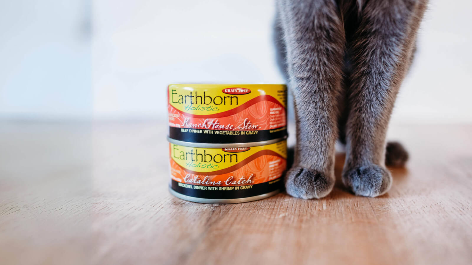 Cat's paws next to 2 cans of Earthborn Holistic wet cat food