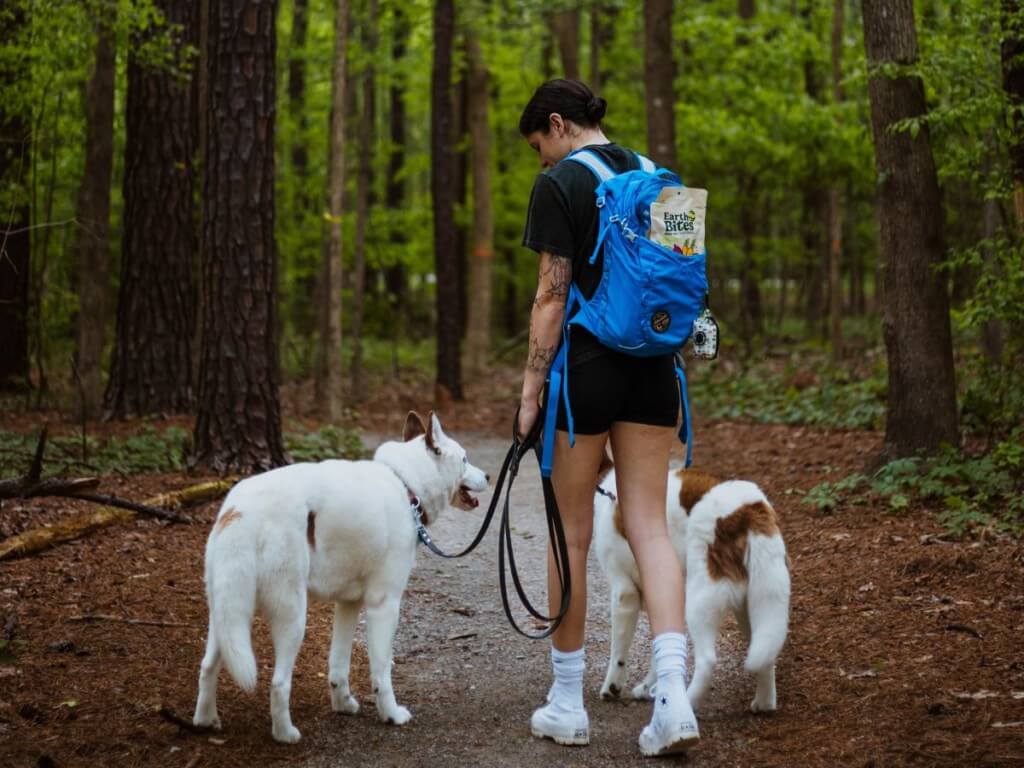 woman with backpack holding EarthBites Crunchy Turkey walks 2 dogs through woods