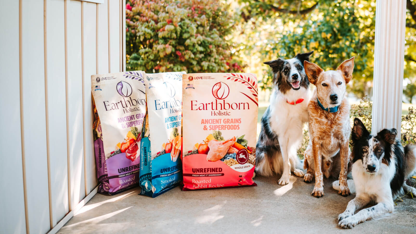 A group of three dogs sit on a porch next to three bags of Earthborn Holistic ancient grains dog food