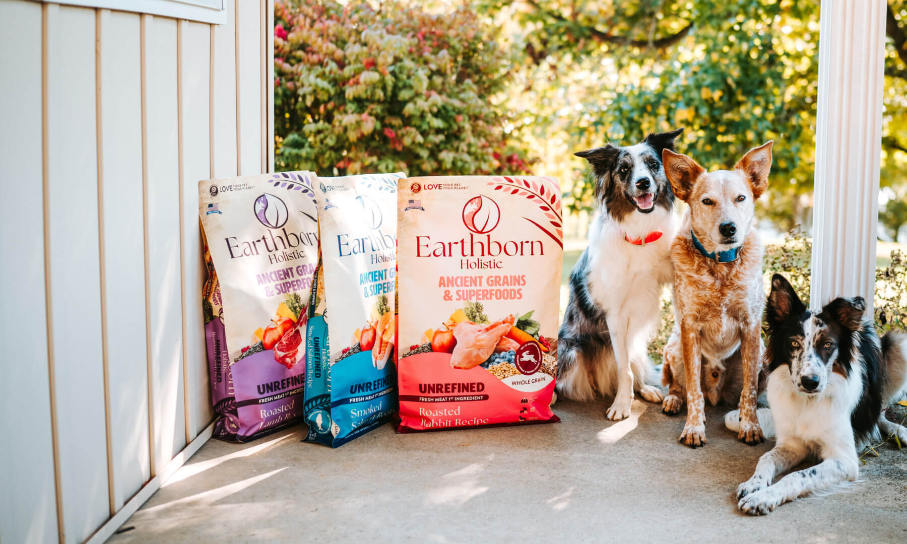 Ancient Grains Dog Food Recipes Earthborn Holistic Pet Food