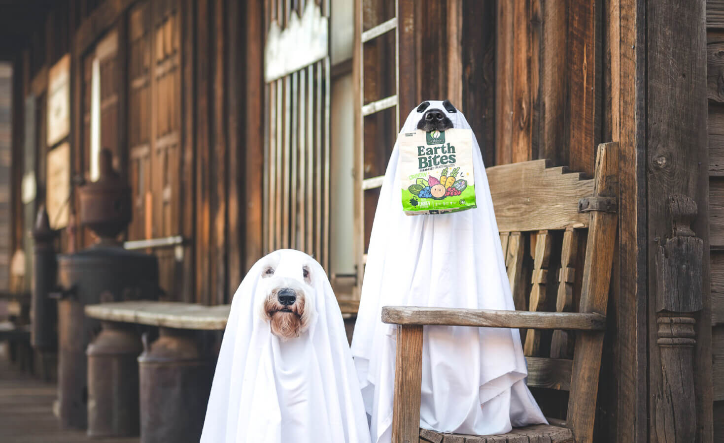 Dogs in a ghost costume hold a bag of treat in their mouth