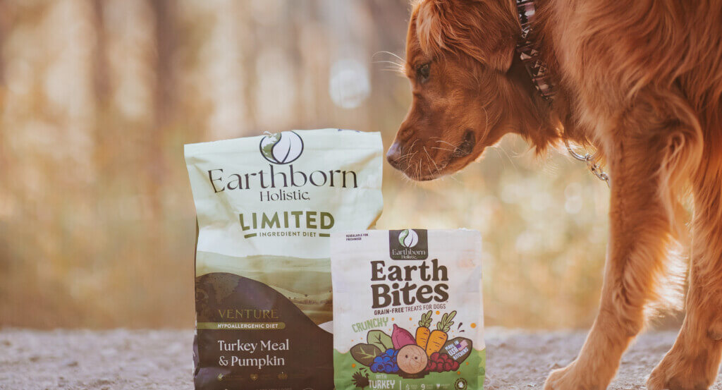 Dog sniffs bag of food and treats