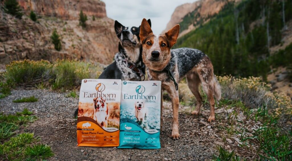 Two dogs stand outside in mountainous scenery behind two bags of Earthborn Holistic grain-free dog food