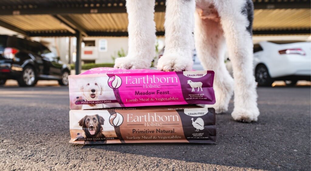 6 Enrichment Toys for Dogs  Earthborn Holistic Pet Food