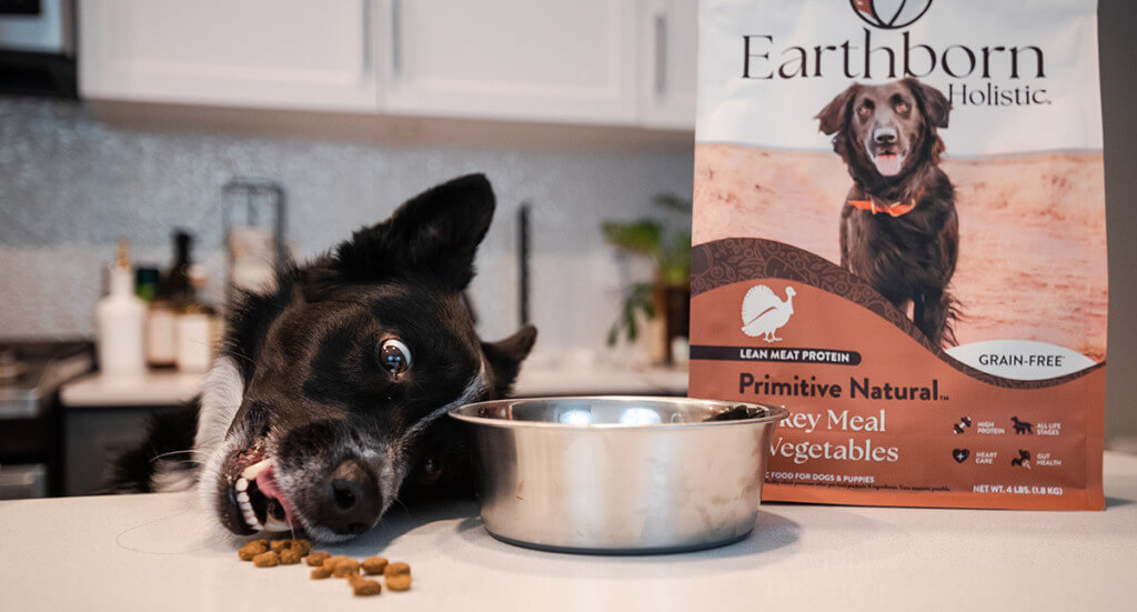 dog eating kibble next to a bag of Earthborn Holistic Primitive Natural dog food