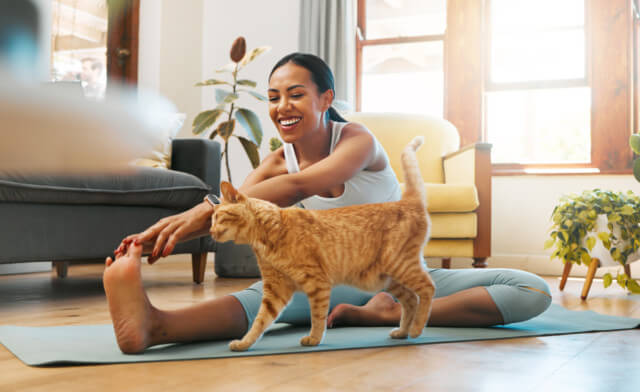 The Benefits of Glucosamine for Cats