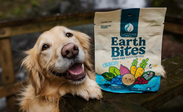 6 Eco-Friendly Pet Products