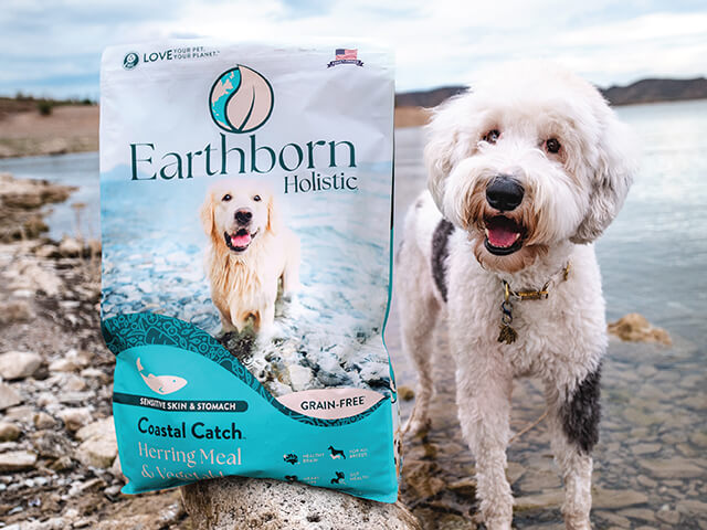 dog standing next to Coastal Catch bag