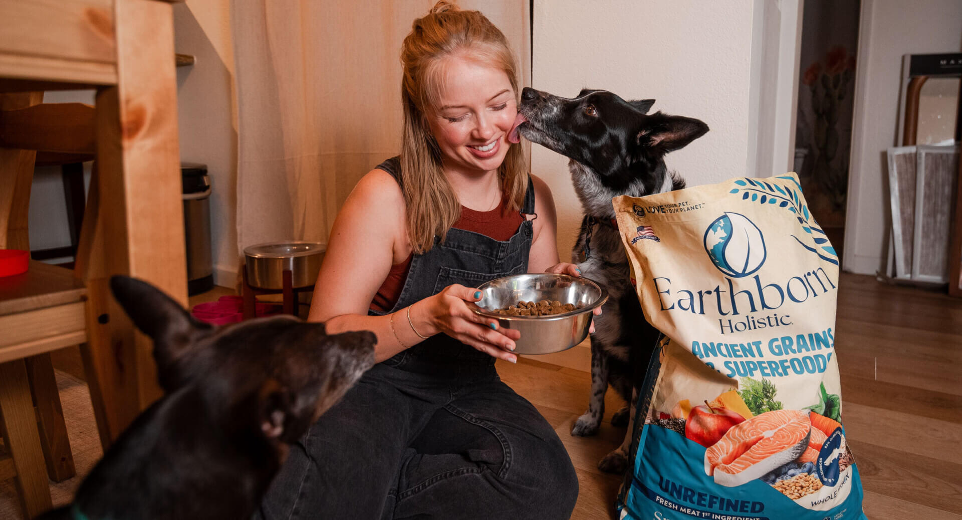 How to Stop a Dog from Peeing in the House Effective Care and Training