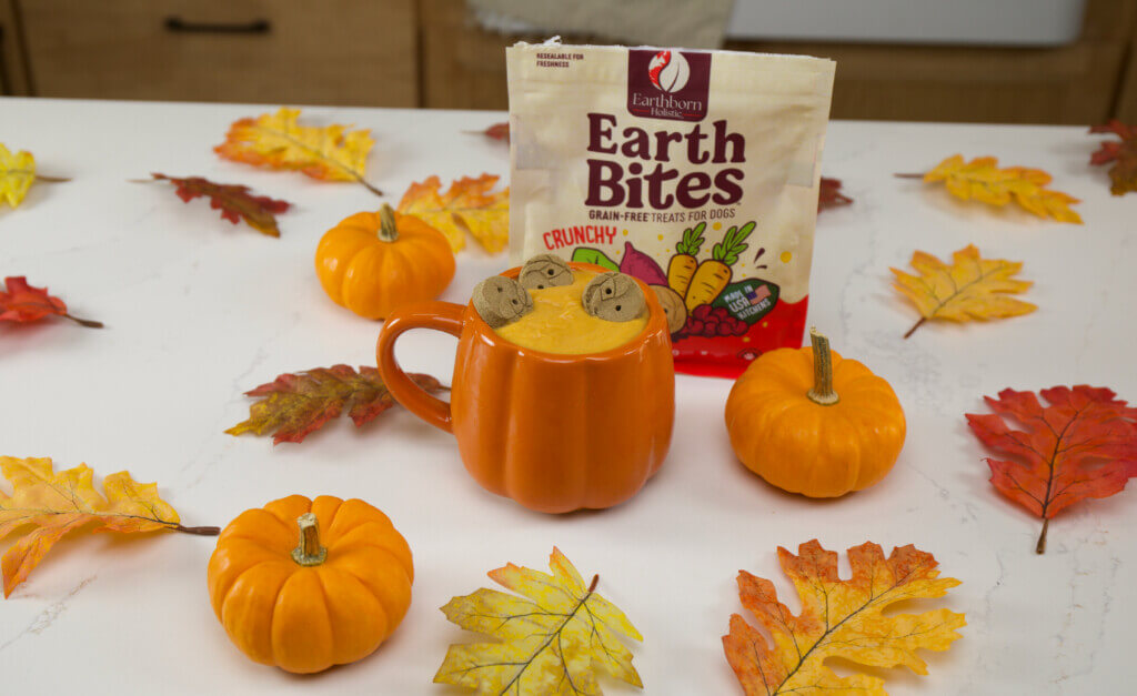 A pumpkin mug filled with dog ice cream sits in front of bag of Crunchy EarthBites treats