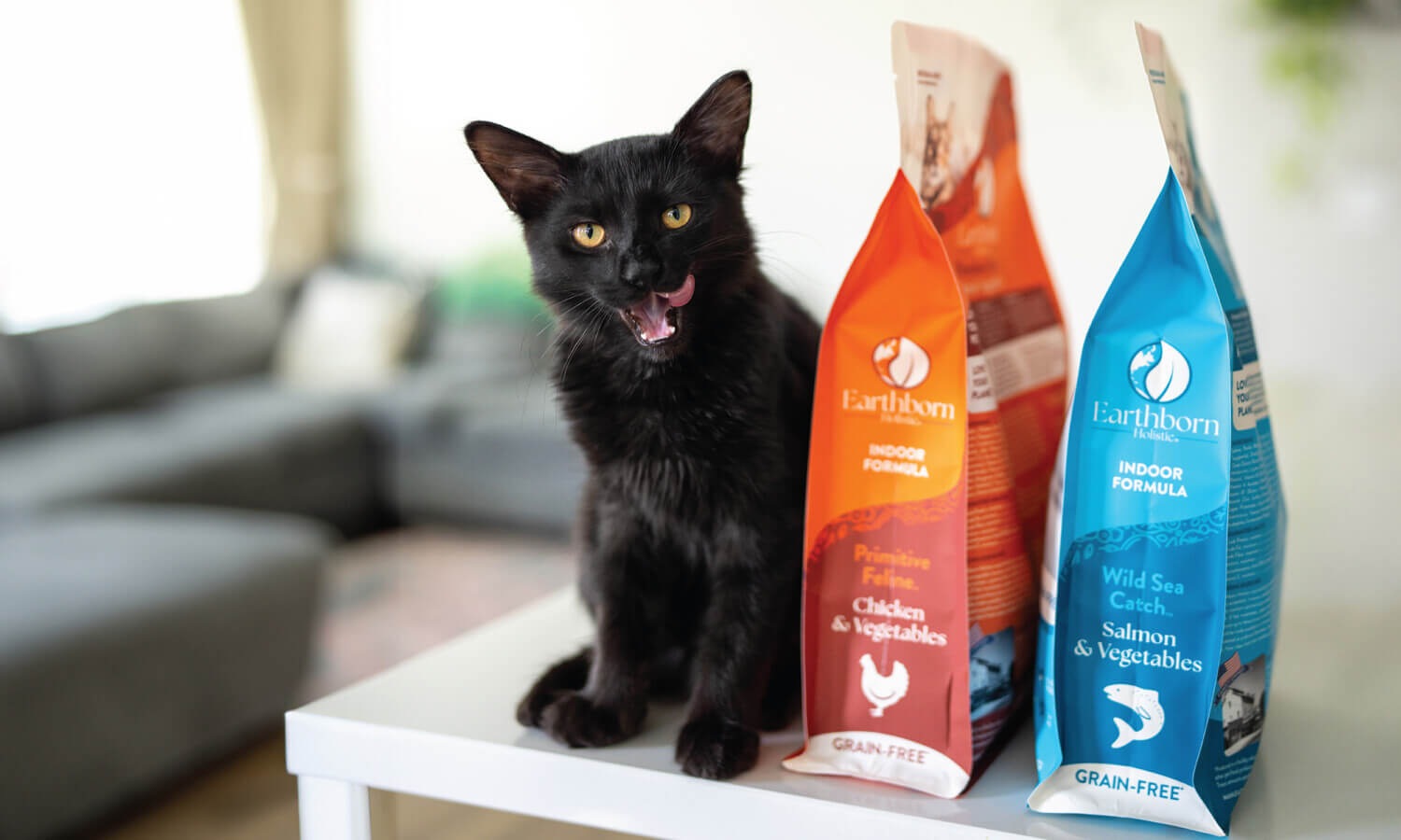 15 Best Wet Cat Food Options for Indoor Cats: Top Picks and Reviews - A ... Best food for cats