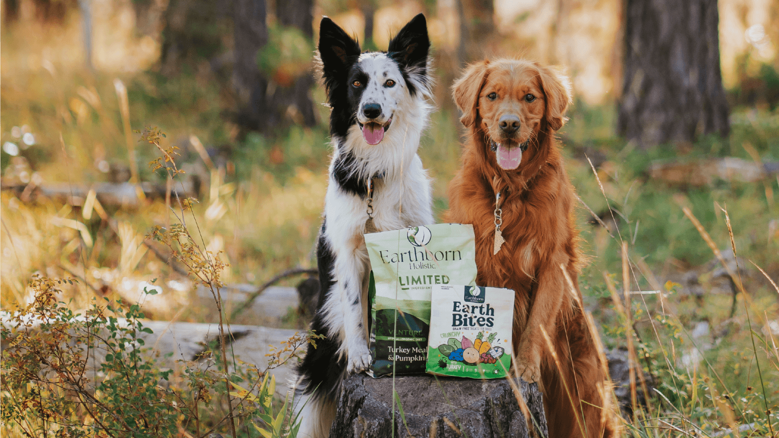 Dogs stand with bag bag of treats and food sitting on stump
