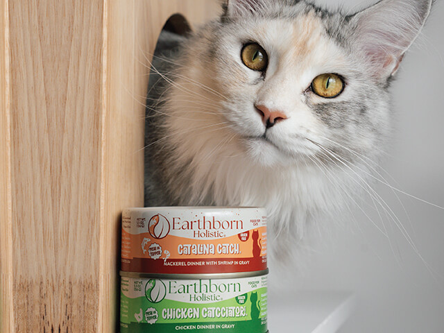 cat with two cans of Earthborn Holistic wet cat food