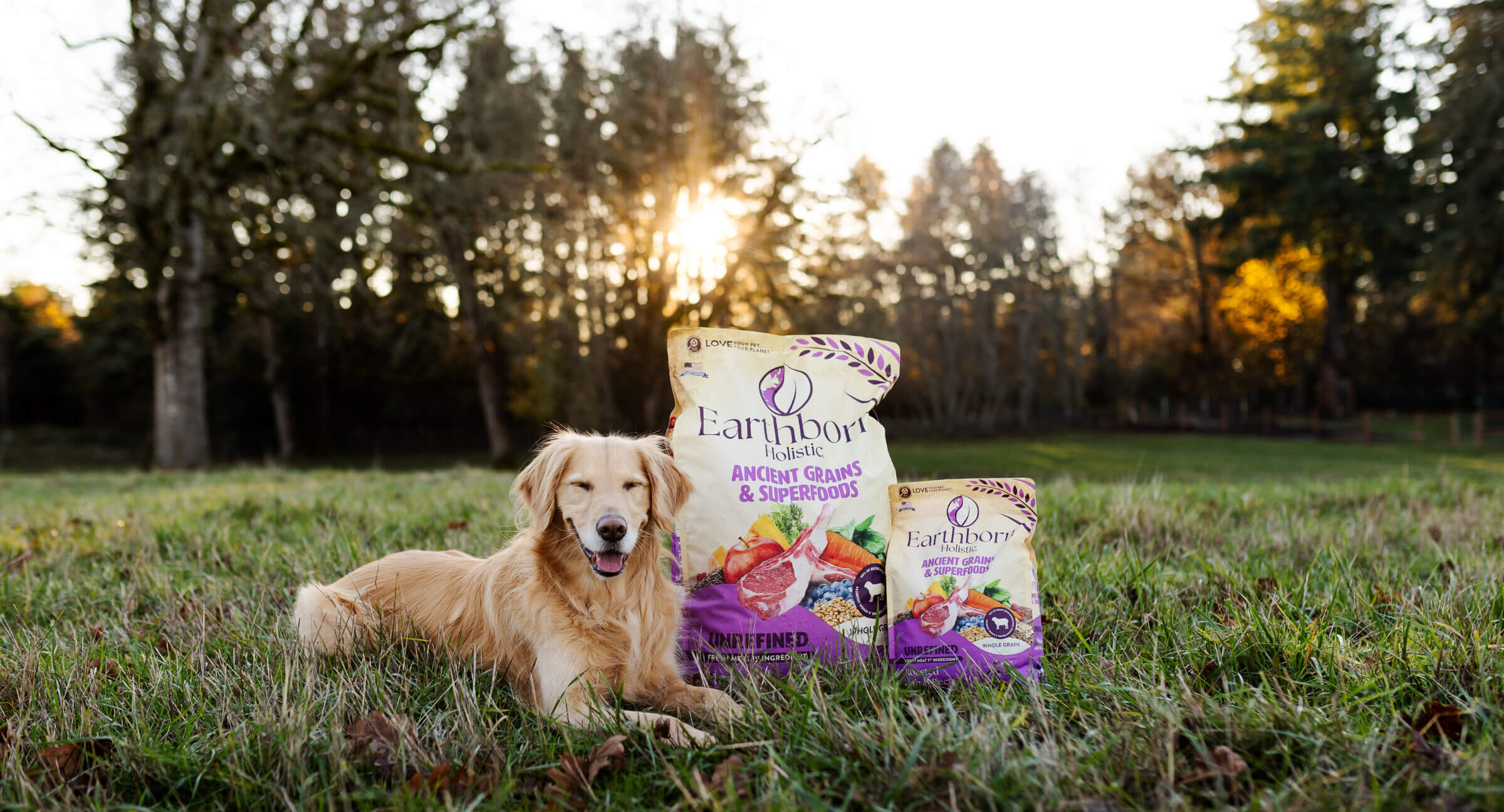 Dog with Earthborn Holistic Ancient Grains Dog Food