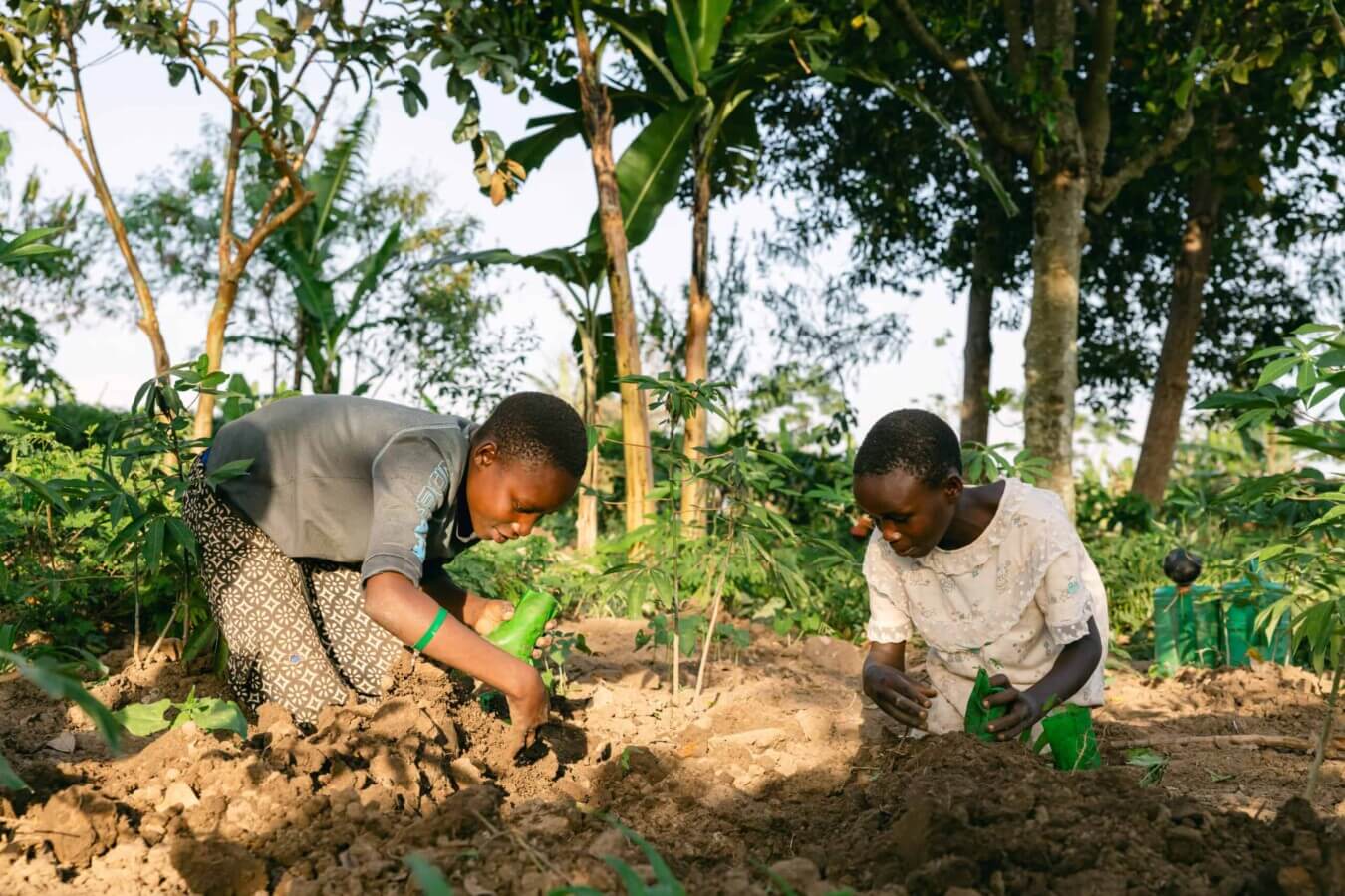 Kids planting trees in farm