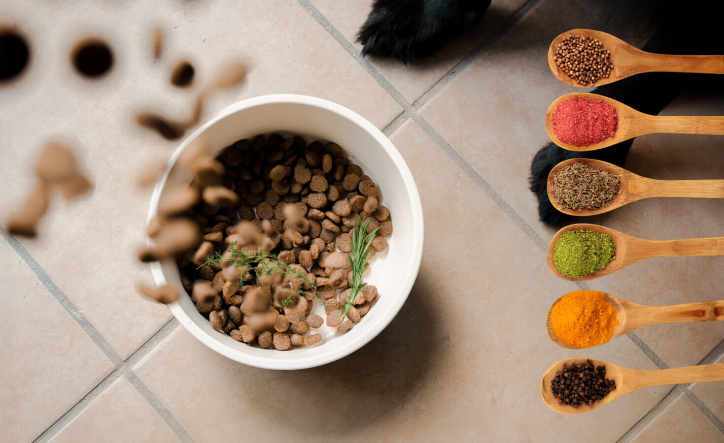 Bowl of Dog Food with Dog-Safe Herbs and Seasonings