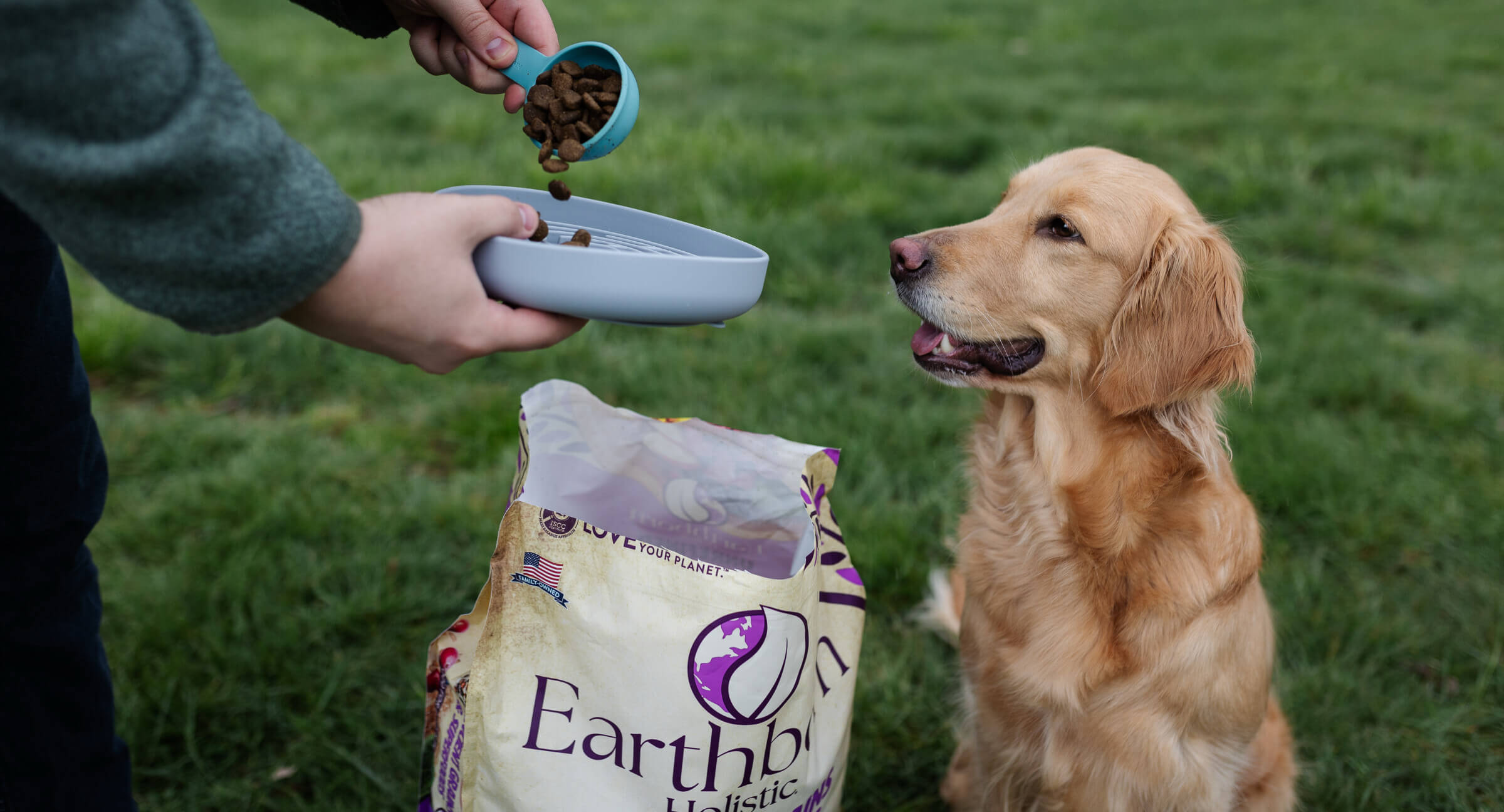 Dog waiting to eat Earthborn Holistic Ancient Grains & Superfoods