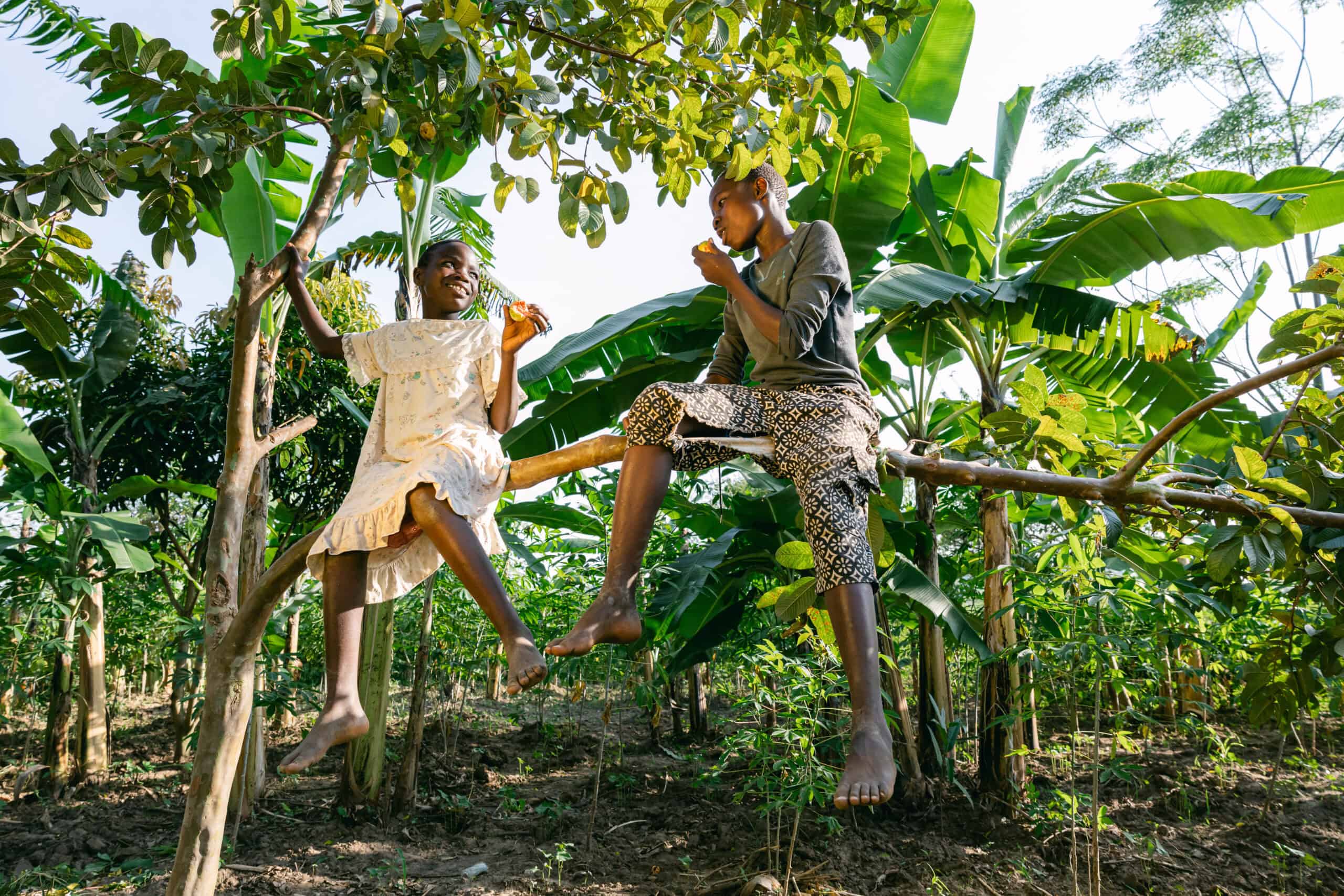Kids sitting on a tree branch in their Forest Garden