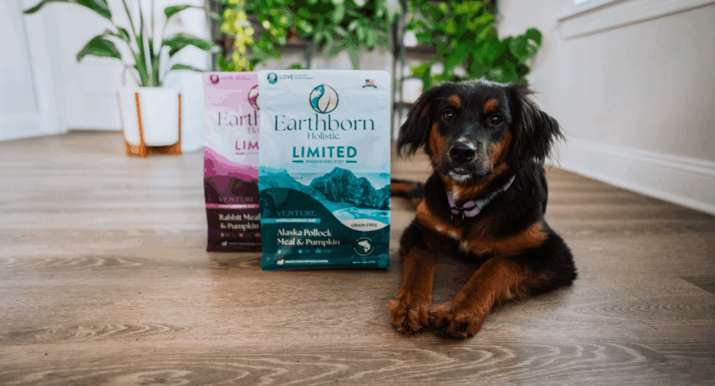Dog lays next to two bags of dog food