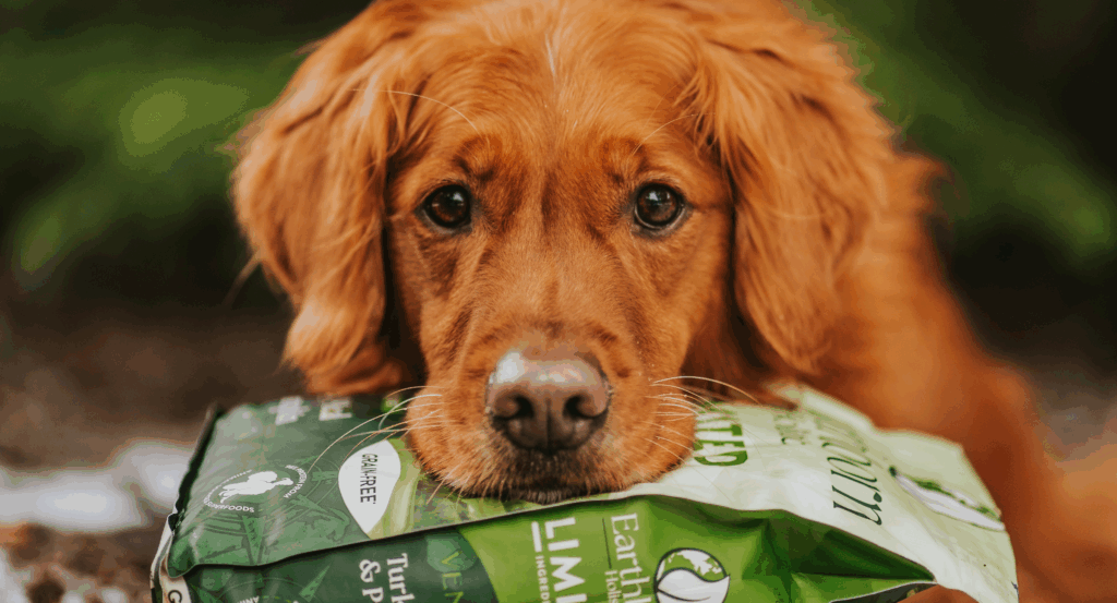 Dog lays head on bag of food