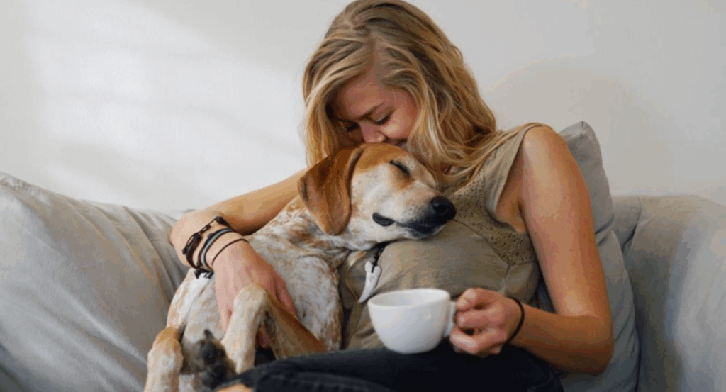 dog asleep on owner