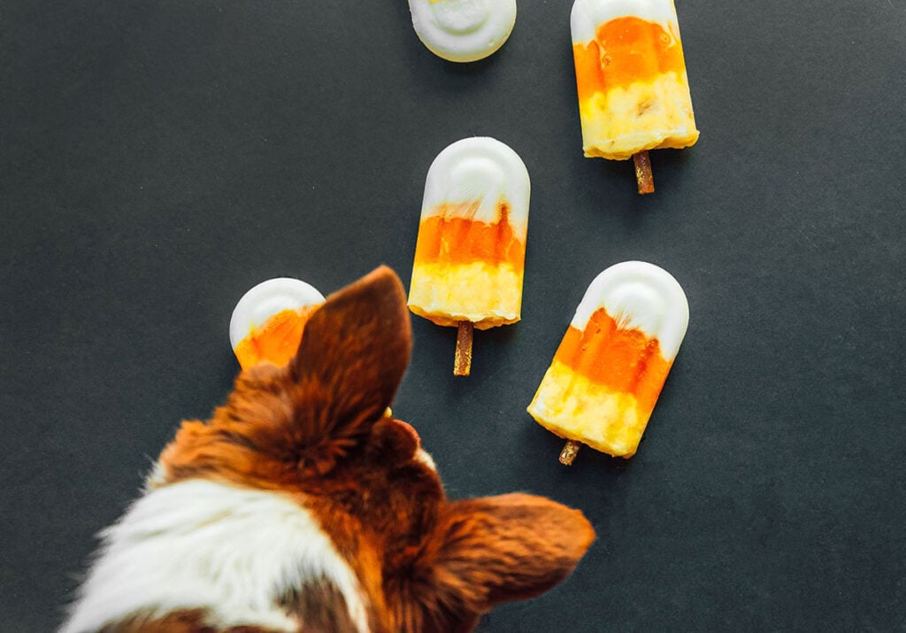 Candy corn popsicles