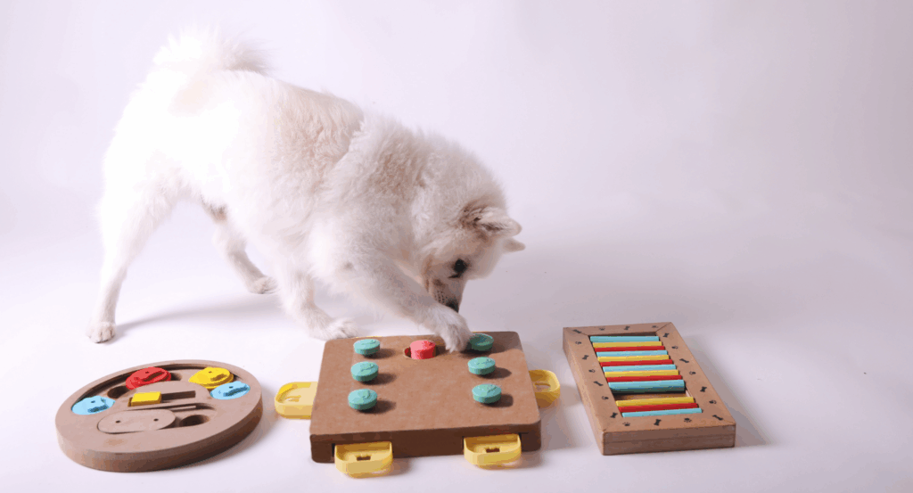 dog playing with puzzle