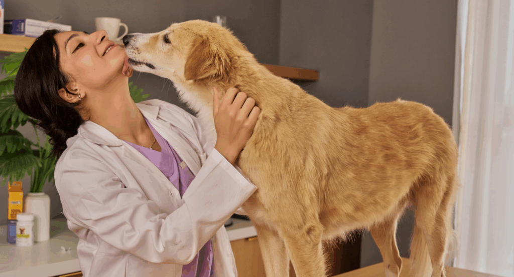 dog licking a vet