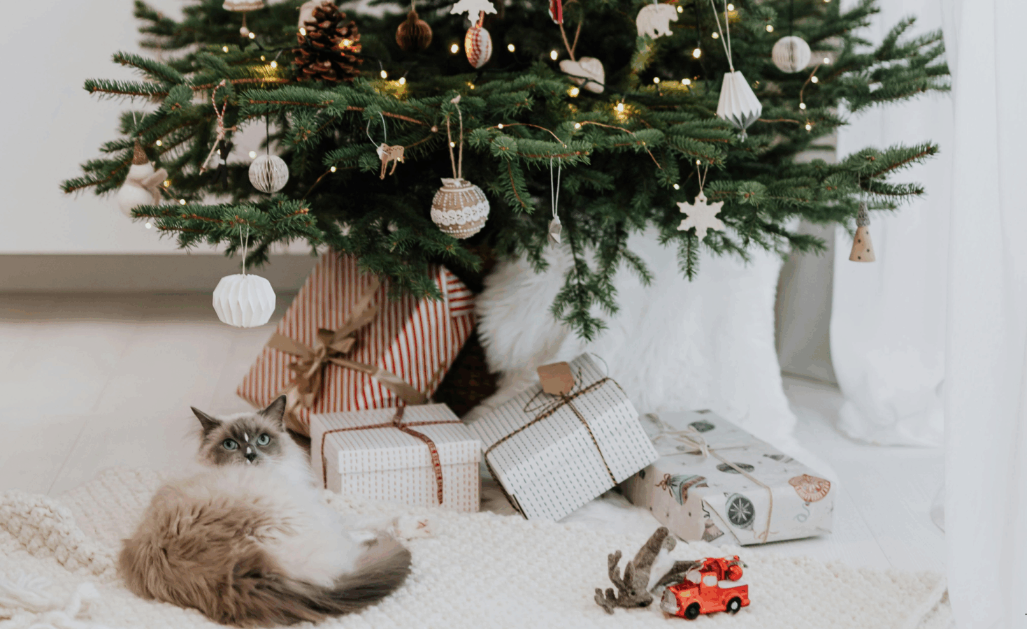 Cat laying with the best holiday toys