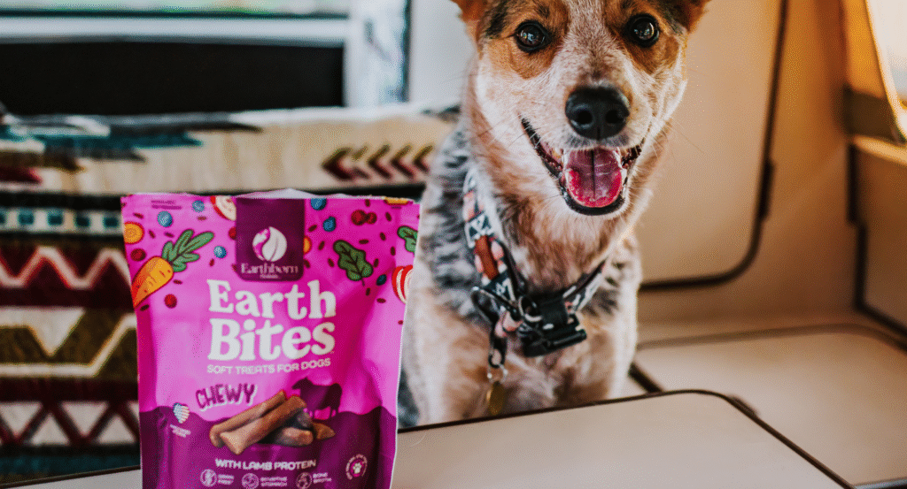 dog sitting with EarthBites chewy with lamb protein