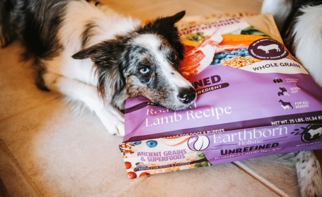 Is Lamb Good for Dogs?
