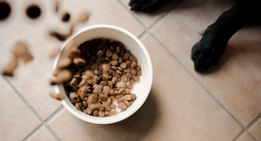 dog food being poured into a bowl
