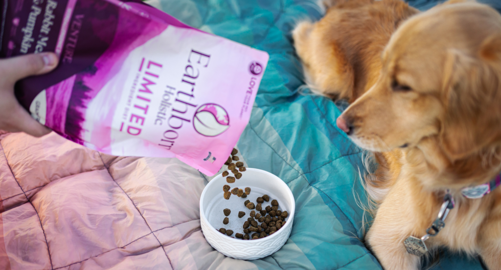 dog eating mixed food during switching dog food flavors safely process