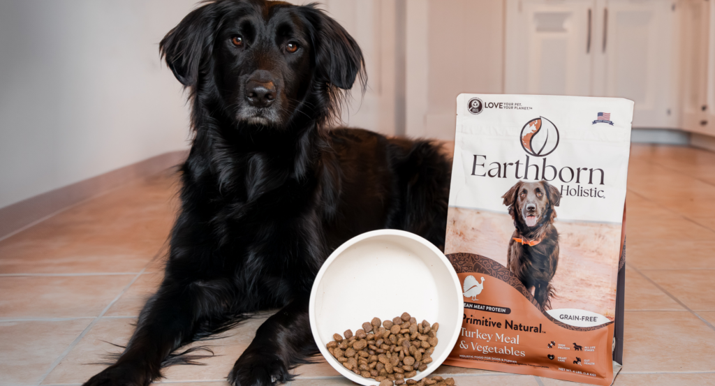 dog sitting with Earthborn Holistic Primitive Natural