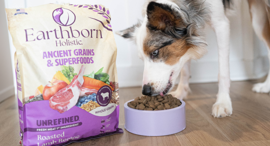 dog eating mixed food during switching dog food flavors safely process