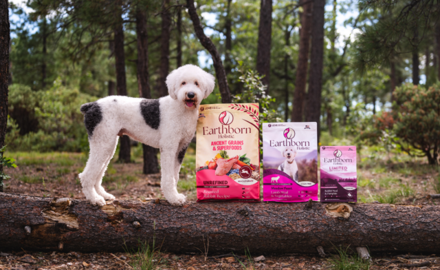 Switching Dog Food Flavors Safely: A Simple Guide for Pet Owners
