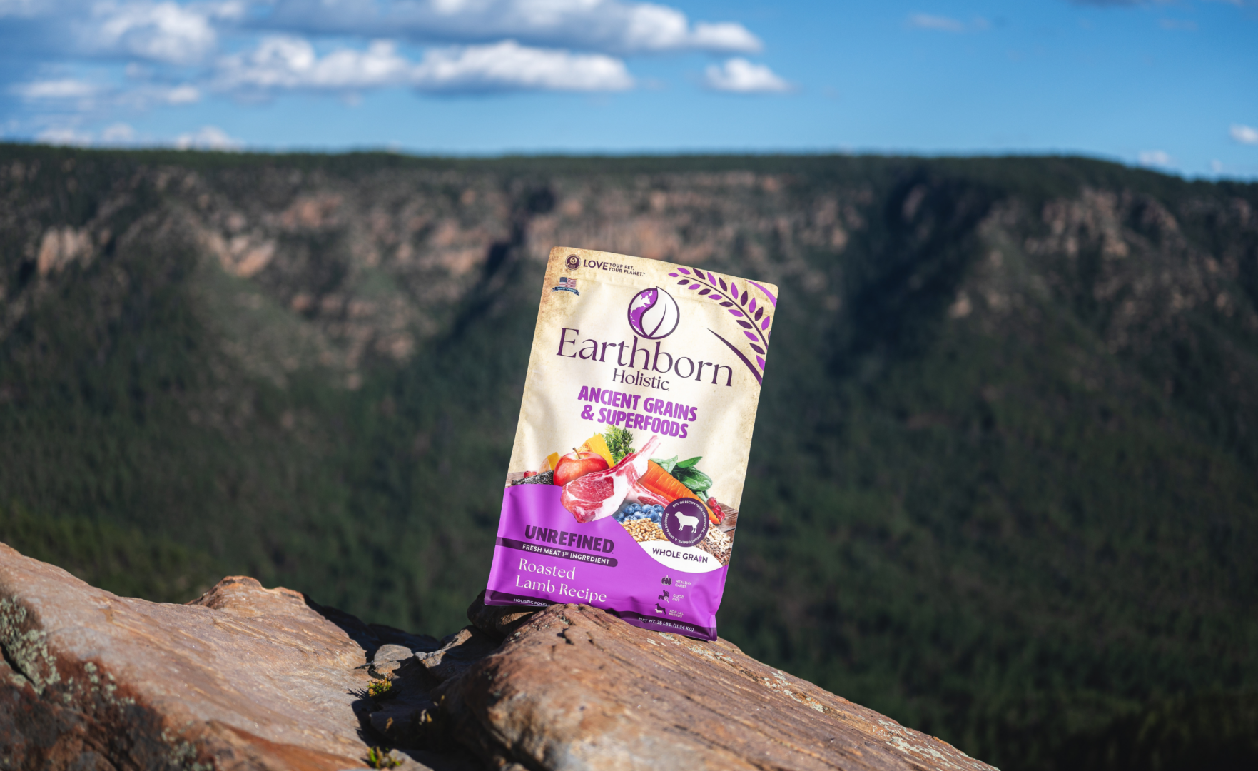 Can Dogs Eat Quinoa Safely? Benefits, Risks & Feeding Tips