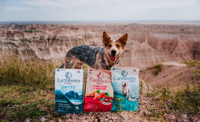 Is Grain-Free Dog Food Good for Dogs? Benefits & Risks