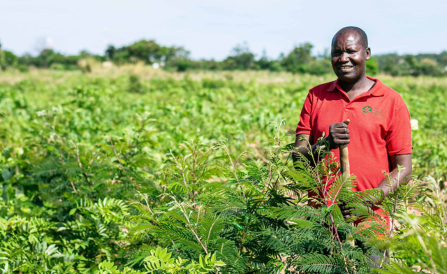 From degraded soils to lush farms