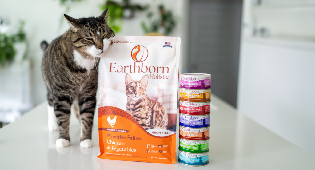 cat with earthborn cat food