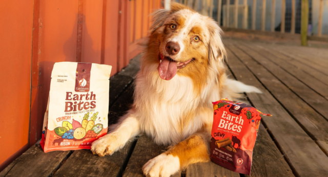 Our Story
We mix together years of knowledge and lots of love to craft tasty meals for your pet.
Our Story