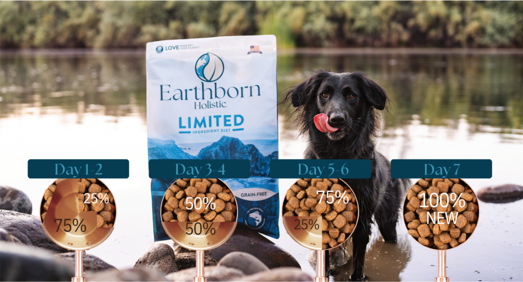 A black dog licking his lips looking at Earthborn Holistic Limited Ingredient Diet Venture Alaska Pollock Meal and Pumpkin. With cups showing the 7 day transition 1-2 you should do 75% empty 25% food day 3-4 50% full 50% empty 5-6 75% full 25% empty and day 7 100% full new food.
