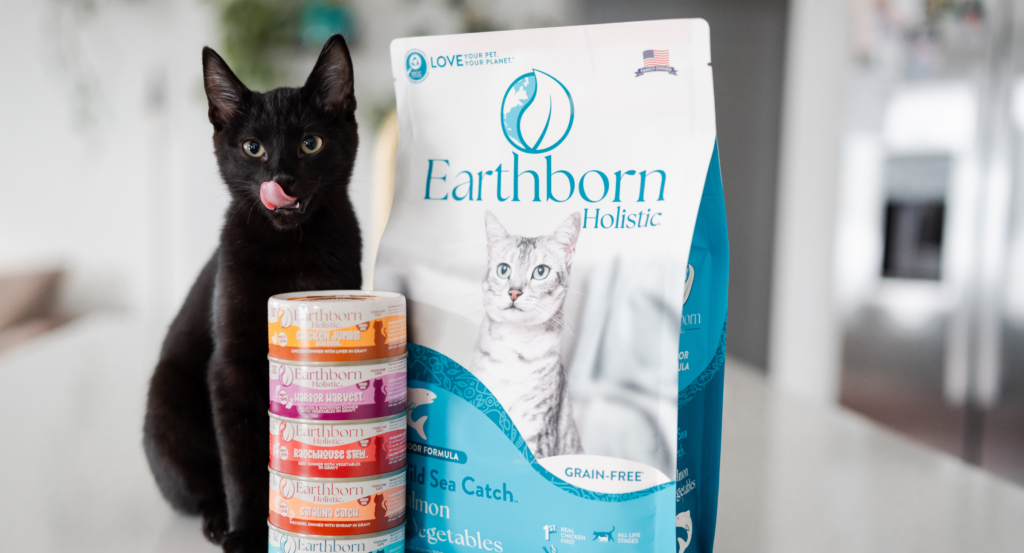 cat licking lips with earthborn holistic wild sea catch