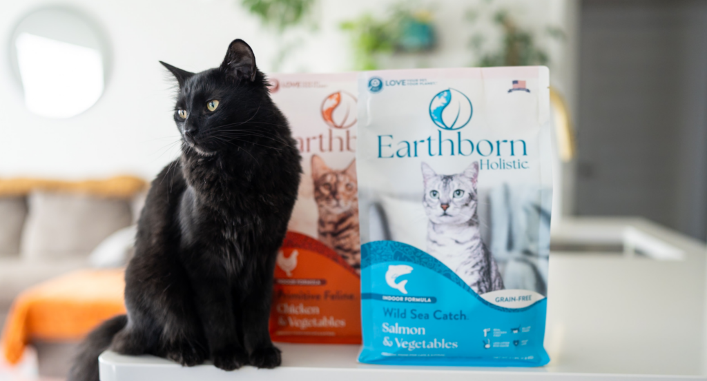 cat with earthborn holistic wild sea catch