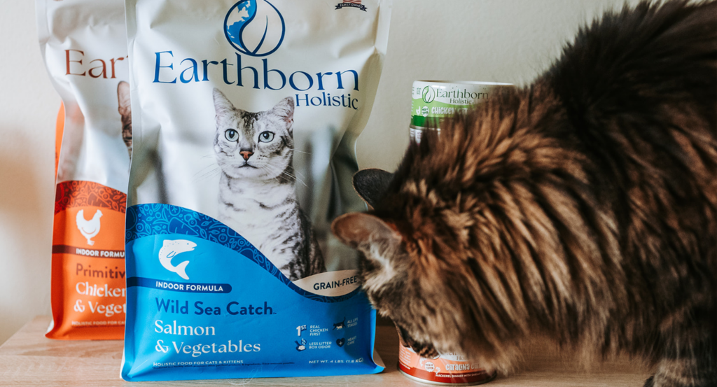 cat sniffing earthborn holistic cat food.