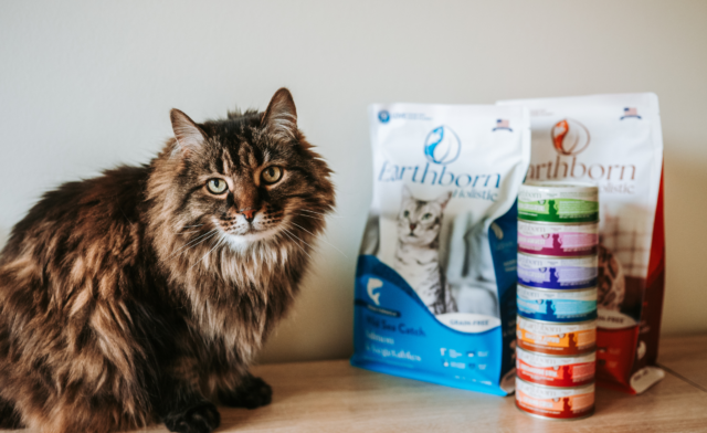 Is Taurine Good for Cats? Why This Amino Acid Is Essential